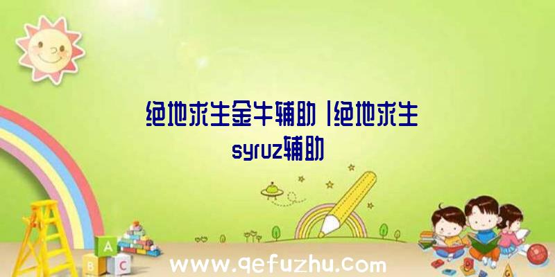 「绝地求生金牛辅助」|绝地求生syruz辅助